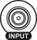 input